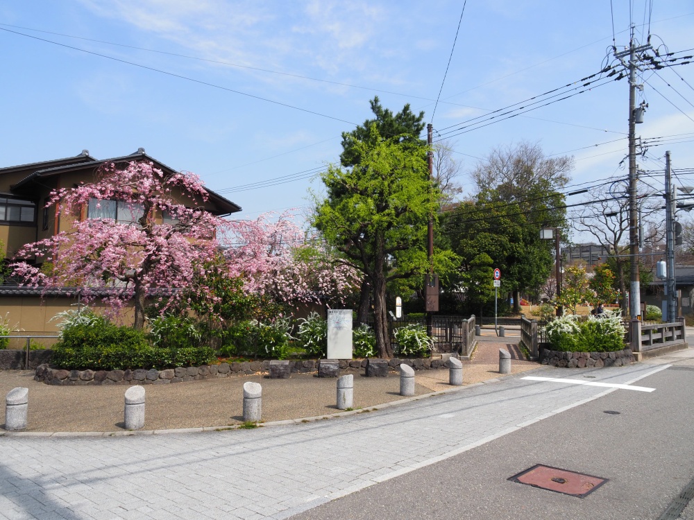 芳斉町の土塀と鞍月用水と桜