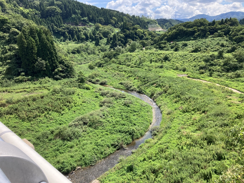 辰巳ダム