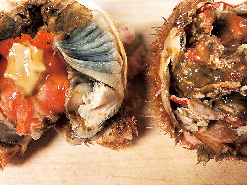 「四季追 HIKARI」七尾産の毛ガニ（要予約）