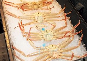 尾山神社前商店街「酒菜肴 じんや」地物のカニ