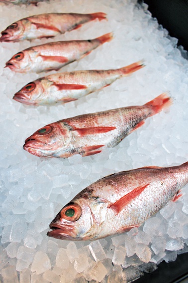 尾山神社前商店街「酒菜肴 じんや」ノドグロ