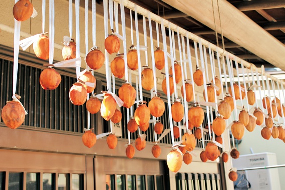 金石の「赤地屋酒店」隣棟の自宅玄関を彩る干し柿